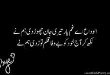 Alvida Shayari in Urdu Alvida Shayari in Urdu